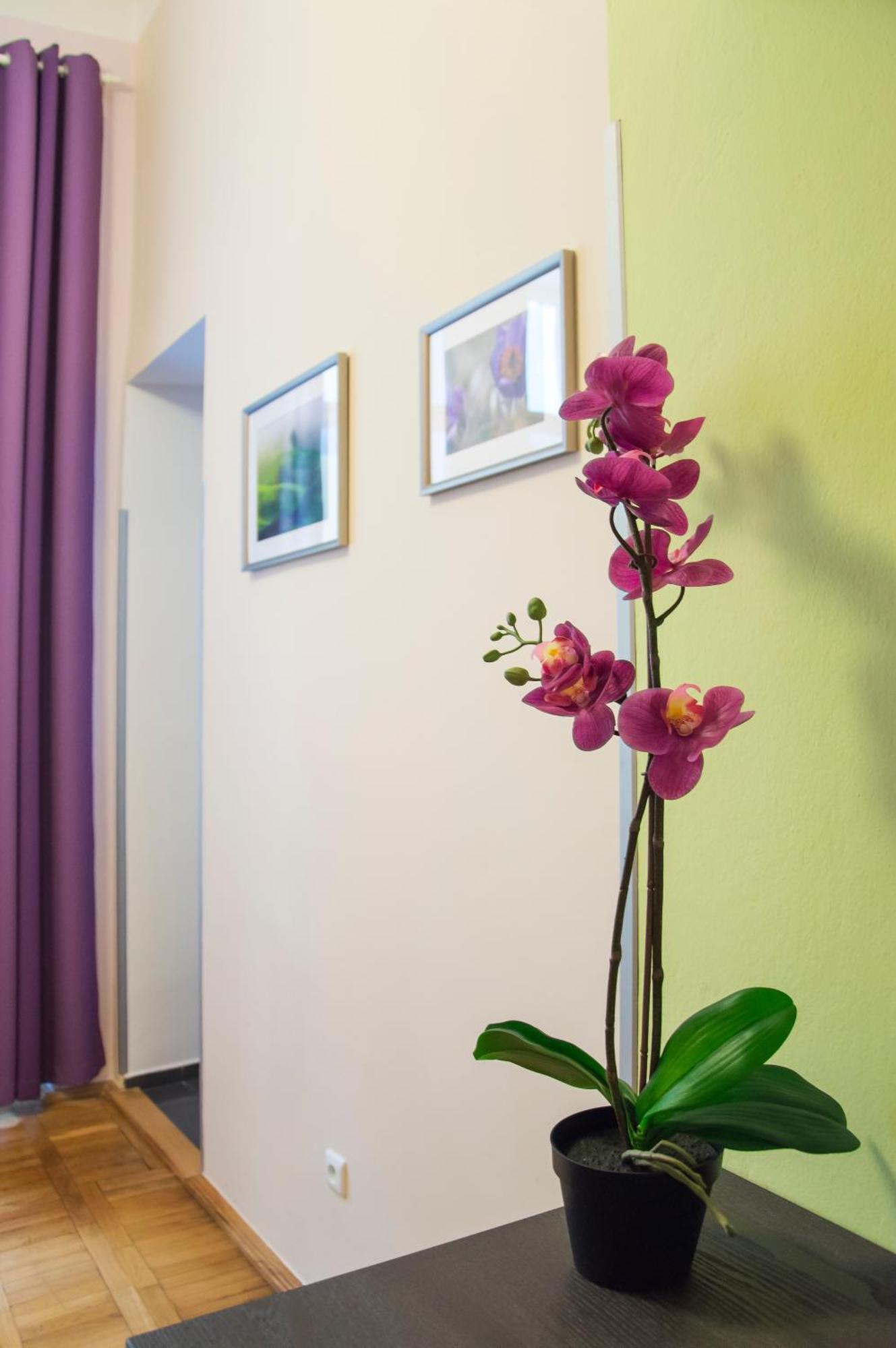 Apartment Jindrisska 25 Prag Dış mekan fotoğraf